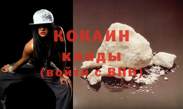 стаф Вяземский