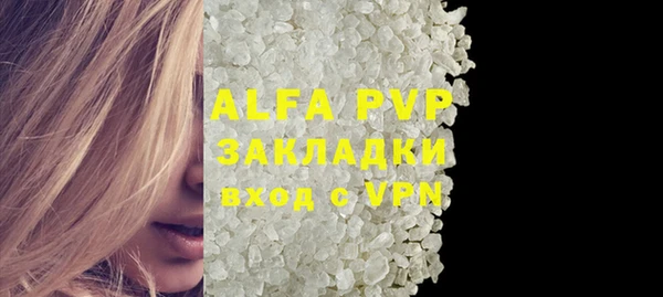 стаф Вяземский