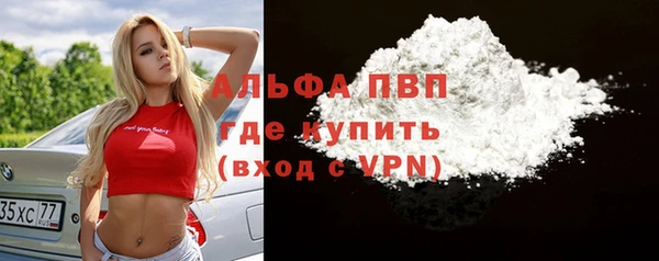 стаф Вяземский