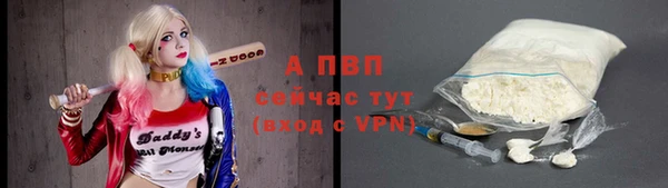 стаф Вяземский