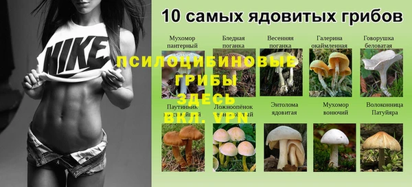 эйфоретик Вязники